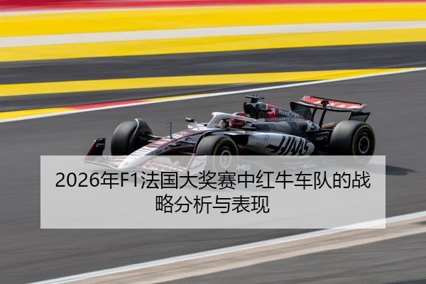 2026年F1法国大奖赛中红牛车队的战略分析与表现