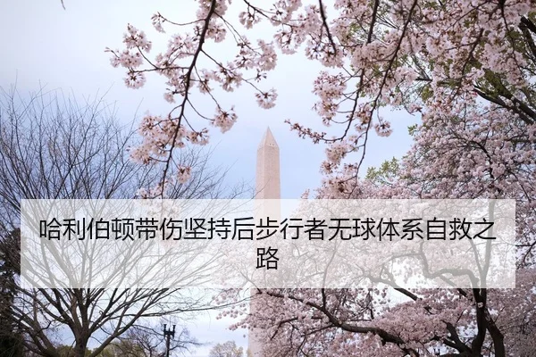 哈利伯顿带伤坚持后步行者无球体系自救之路