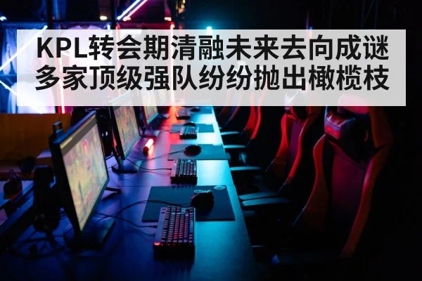 KPL转会期清融未来去向成谜多家顶级强队纷纷抛出橄榄枝